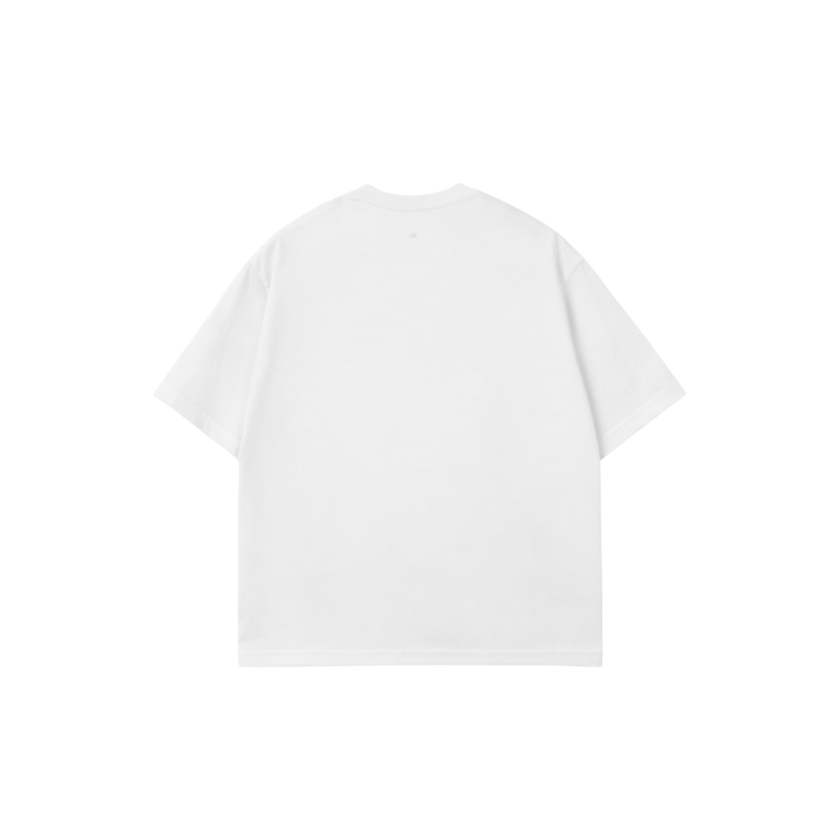 Pickleball Recreation Tee